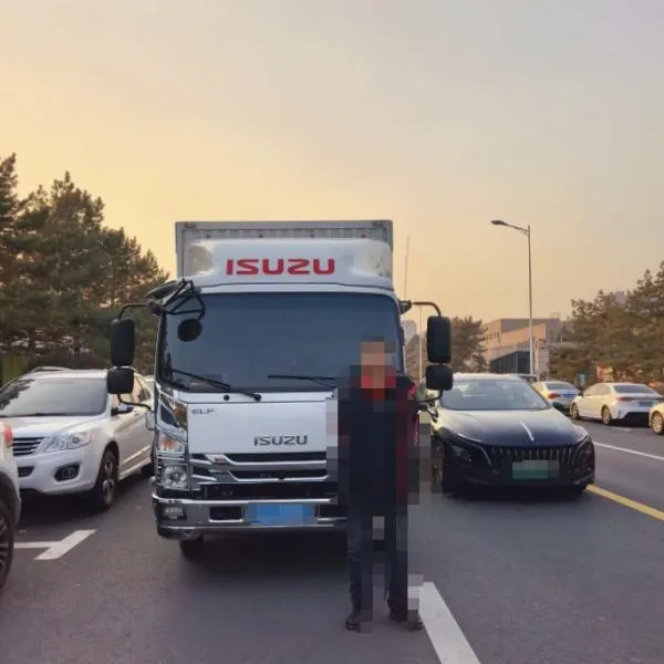 Двухрядный грузовой автомобиль с бортовыми панелями Qingling Isuzu 100P`