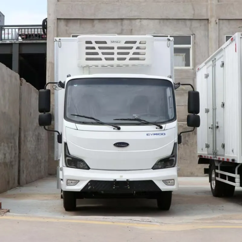 Легковой грузовик Qingling Isuzu EVM100 (2)