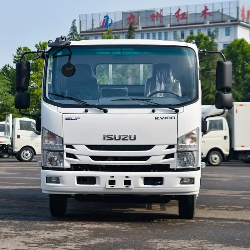 Однорядный бортовой грузовик Qingling Isuzu KV100 (2)