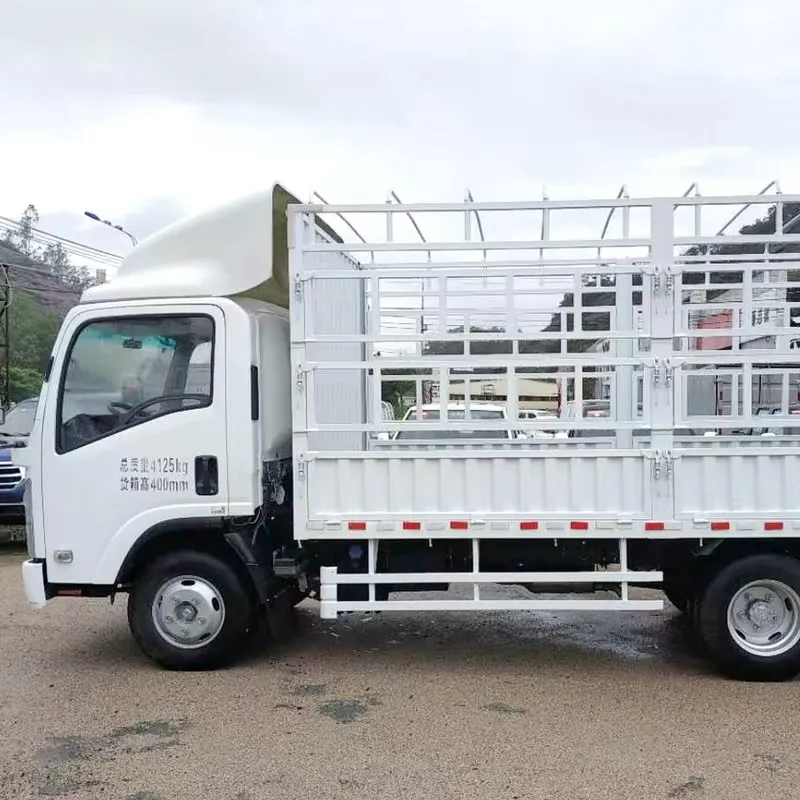 Однорядный бортовой грузовик Qingling Isuzu KV600 (1)