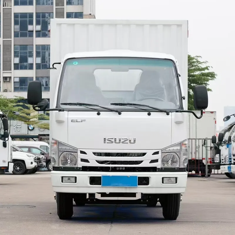 Однорядный фургонный грузовик Qingling Isuzu 100P (1)