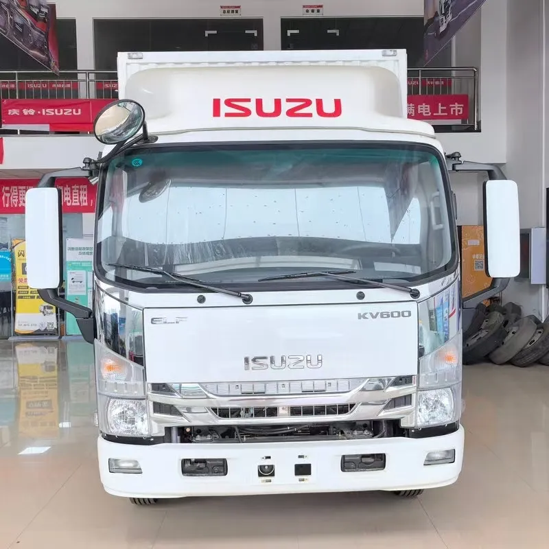 Однорядный фургонный грузовик Qingling Isuzu KV600 (3)